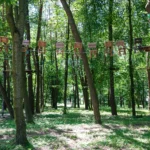 Park linowy trasa